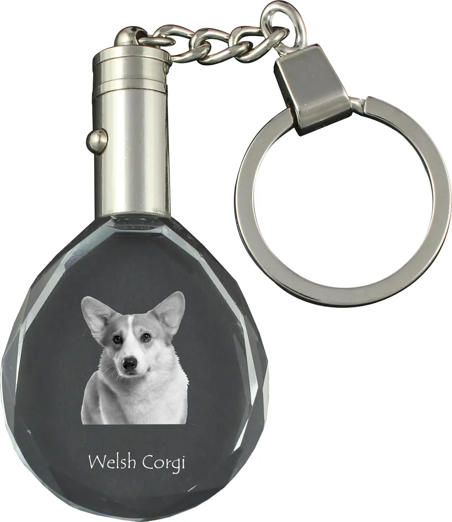 Pembroke Welsh Corgi - ciondolo con foto del cane, ciondolo in cristallo per chiavi in confezione regalo, un regalo unico da Art-Dog
