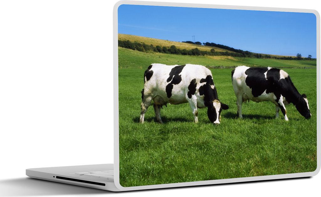 MuchoWow Laptop Aufkleber Sticker Cover Kuh - Tiere - Gras 30x22 cm - Laptop-Sticker