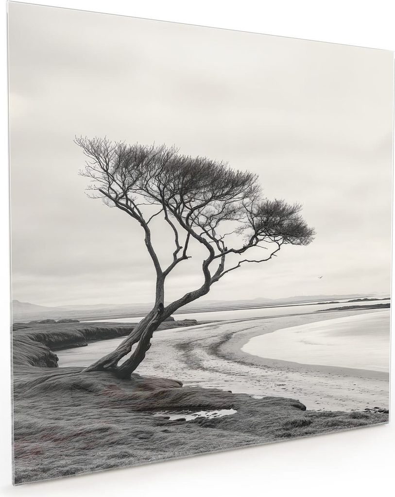 Küchenrückwand Spritzschutz Glas mit Motiv Einsamer Baum am Meer 40 x 40 cm