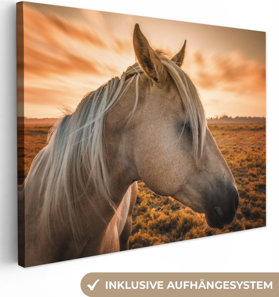 MuchoWow - Leinwandbilder - Pferd - Tiere - Porträt, Wandbild, Wanddeko Bilder Wohnzimmer, 120x90 cm