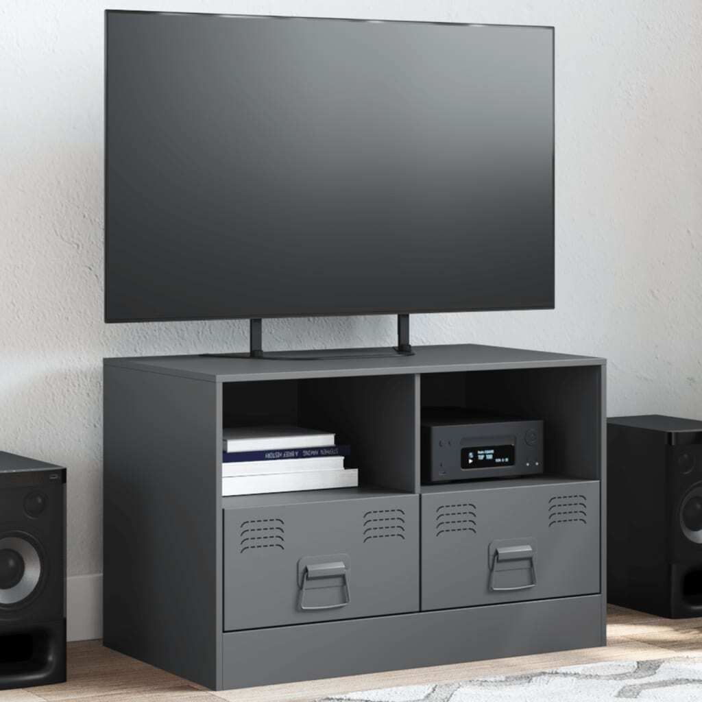 Maison Exclusive - TV-Schrank Anthrazit 67x39x44 cm Stahl