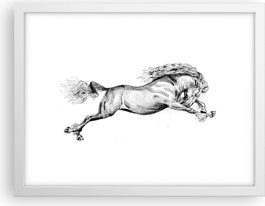 Gerahmtes Poster - Weißer Rahmen - Pferd Zeichnung Bleistift - 40x30 cm - Wand Bild - Wanddeko - Wandbilder - Kunstposter - Wandposter - Bilderrah...