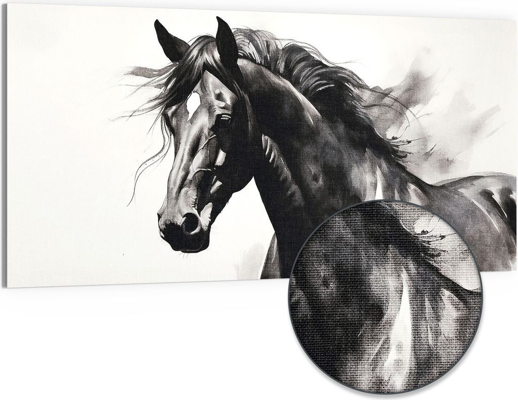 DEQOART Hybrid Leinwand Bild 100x50 cm 'Schwarze Schönheit' Wandbild Glas flach modern
