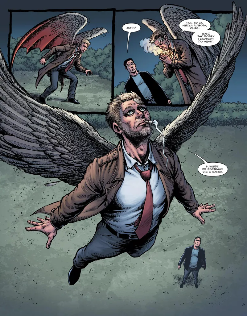BD Hellblazer : Tome Le Vol et la Chute de Garth Ennis en VF