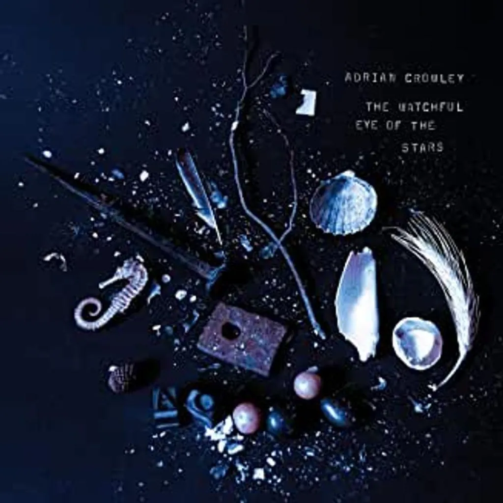 Adrian Crowley L'œil vigilant des étoiles - CD Audio Folk Authentique