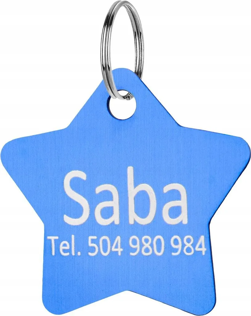 Badge étoile bleu pendentif à graver pour collier de chien et chat