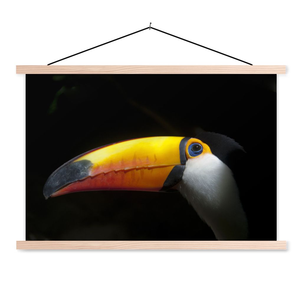 MuchoWow Textilposter Tukan - Vogel - Schnabel 60x40 cm mit holzfarbenen Rahmen - Bilder