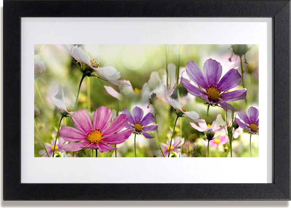 Bild 30x20 MDF-Rahmen Wandkunst Blumen Pflanzen Natur
