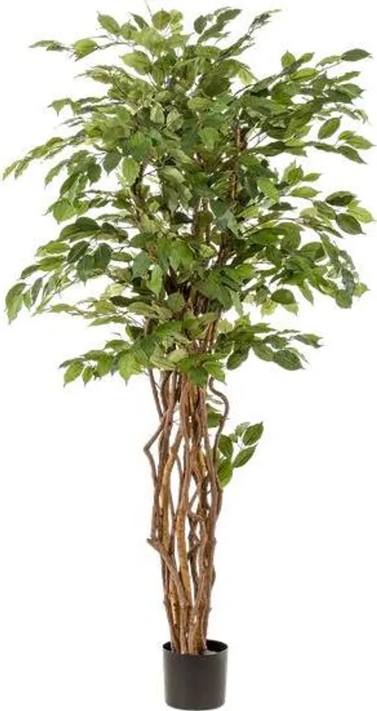 Arbre Artificiel Ficus Liana 170 cm - Grande Plante Verte Déco Intérieure