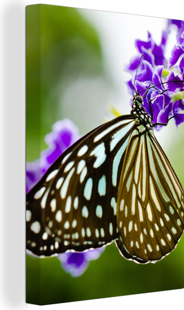 OneMillionCanvasses - Leinwandbilder - 90x140 cm, Lavendel - Schmetterling - Botanisch, Wandbilder Kunstdruck Wanddekoration - Foto auf Leinwand ...