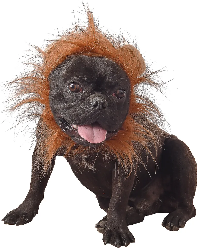 Leone Fascia Costume per Animali Marrone 42 cm - Criniera per Cani e Gatti