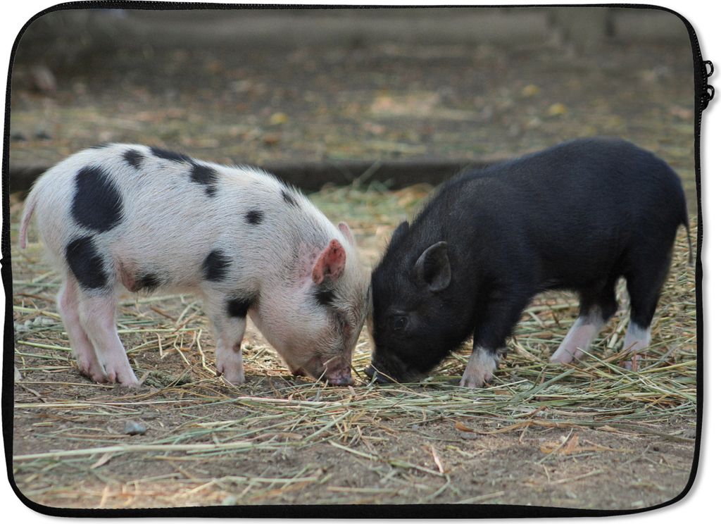 MuchoWow Laptop Hülle 13 Zoll Schweine - Ferkel - Stroh Laptoptasche - Laptophülle - Sleeve - Rundumschutz