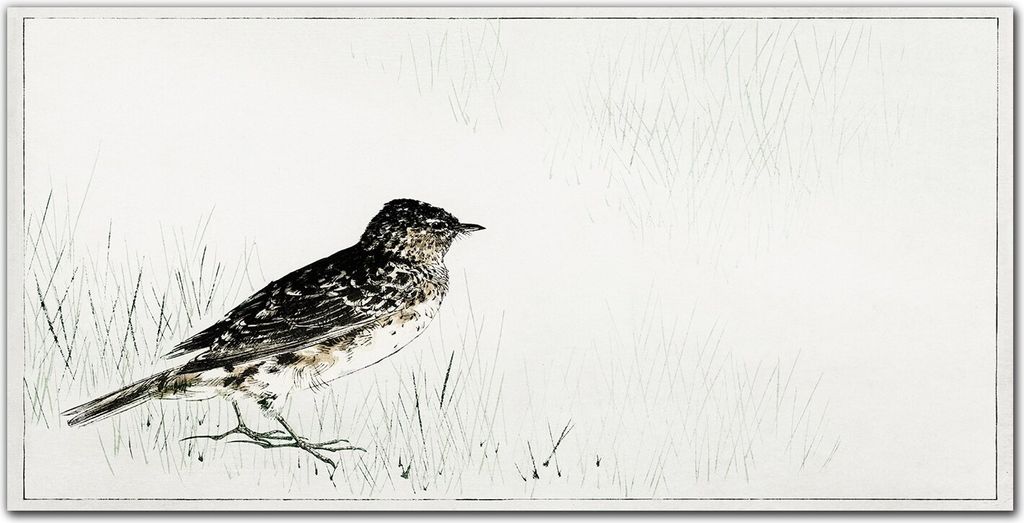 Coloray - Bild aus Glas - Glasbilder - 100 x 50 cm - Gehärtetes Glas Glasblock mit Bild Wohnzimmer Küche Dekoration Wanddekoration - Tier Vogel