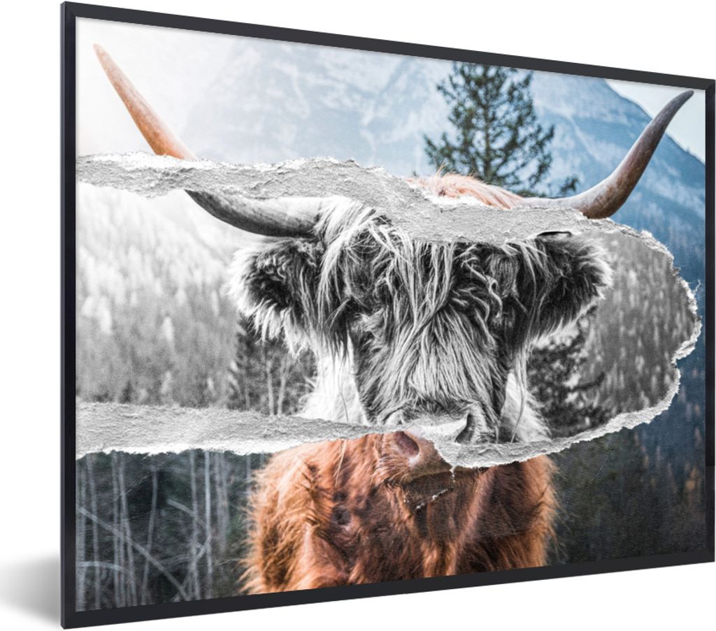 MuchoWow Gerahmtes Poster Schottischer Highlander - Kuh - Schwarz - Weiß 40x30 cm - Poster mit Schwarzem Bilderrahmen Wandposter Rahmen Foto Bil...