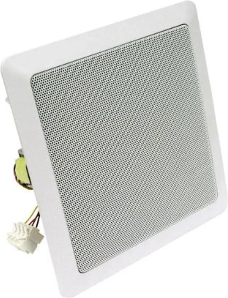 Haut-parleur Visaton 50154 : Solution Audio Discrète 100V et 8 Ohm