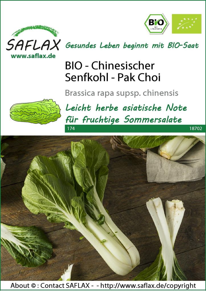 Artikelbild 1 von 'Chinesischer Senfkohl Pak Choi' aus der Kategorie Pak Choisamen