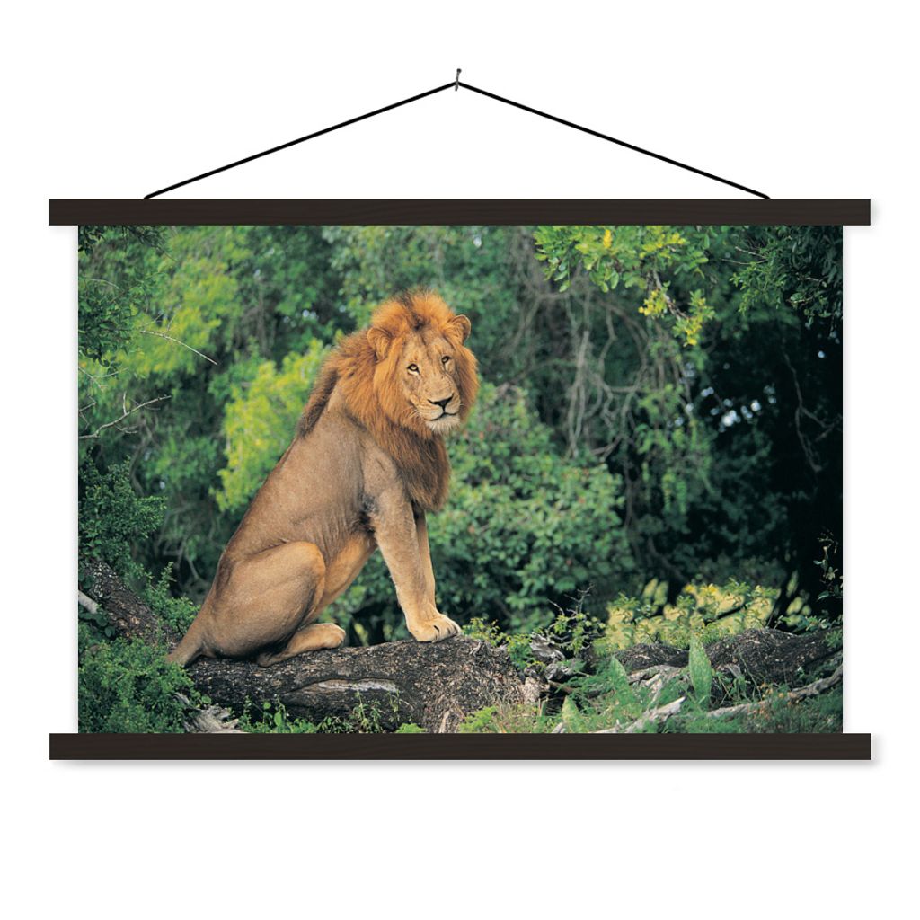 MuchoWow Textilposter Löwe - Natur - Gras 150x100 cm mit schwarzem Rahmen - Schlafzimmer