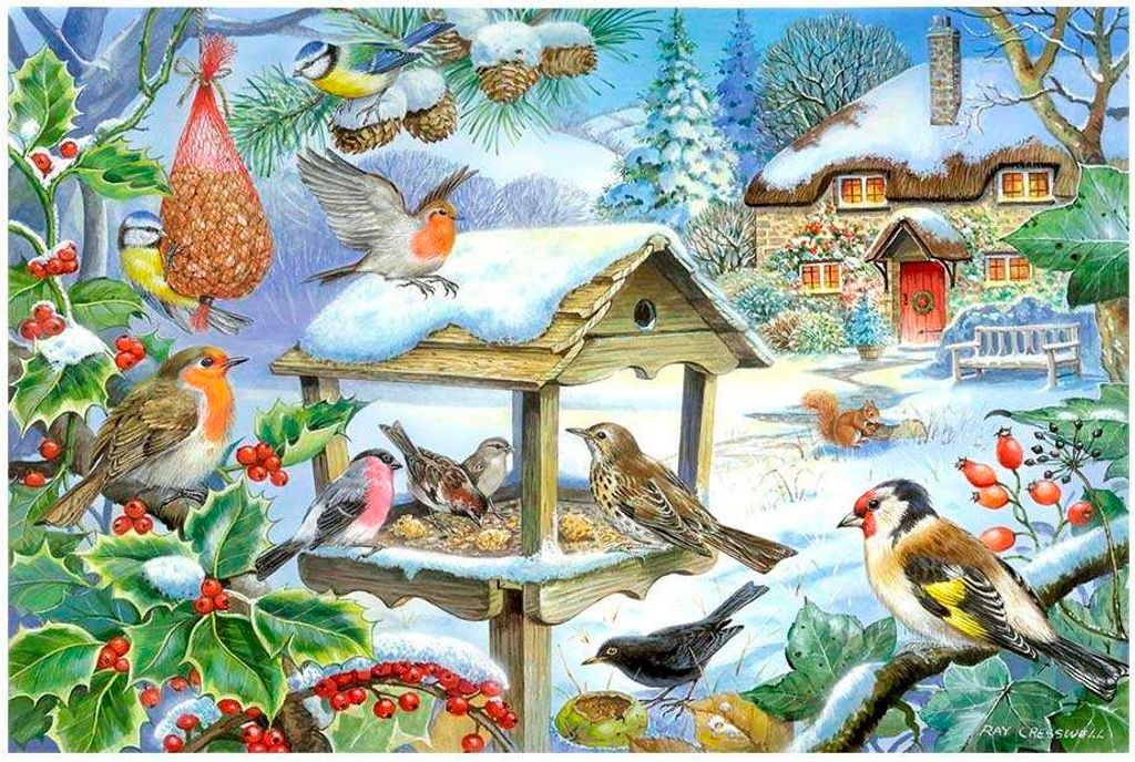 House of Puzzles Puzzle Feed the Birds 250 Teile XL Karton Tiere