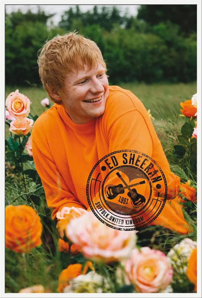 Affiche Ed Sheeran avec Cadre Shinsuke Blanc et Vitre Acrylique Robuste