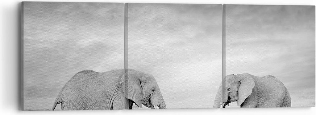 Bild auf Leinwand - Leinwandbild - 3 Teile - Elefanten Schwarzweiß Safari - 90x30cm - Wand Bild - Wanddeko - Wandbilder - Leinwanddruck - Bilder -...