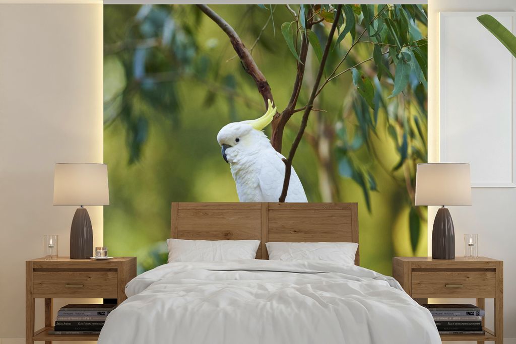 MuchoWow Fototapete für Wohnzimmer oder Schlafzimmer Wandtapete Vinyl Motivtapete Weißer Kakadu zwischen grünen Blättern - 280x280 cm - Hinte...