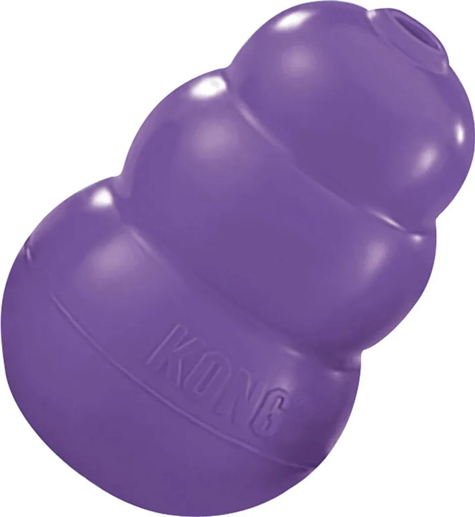 Offerta KONG Senior: Il Gioco per Cani Anziani n.1 al Mondo in Stock