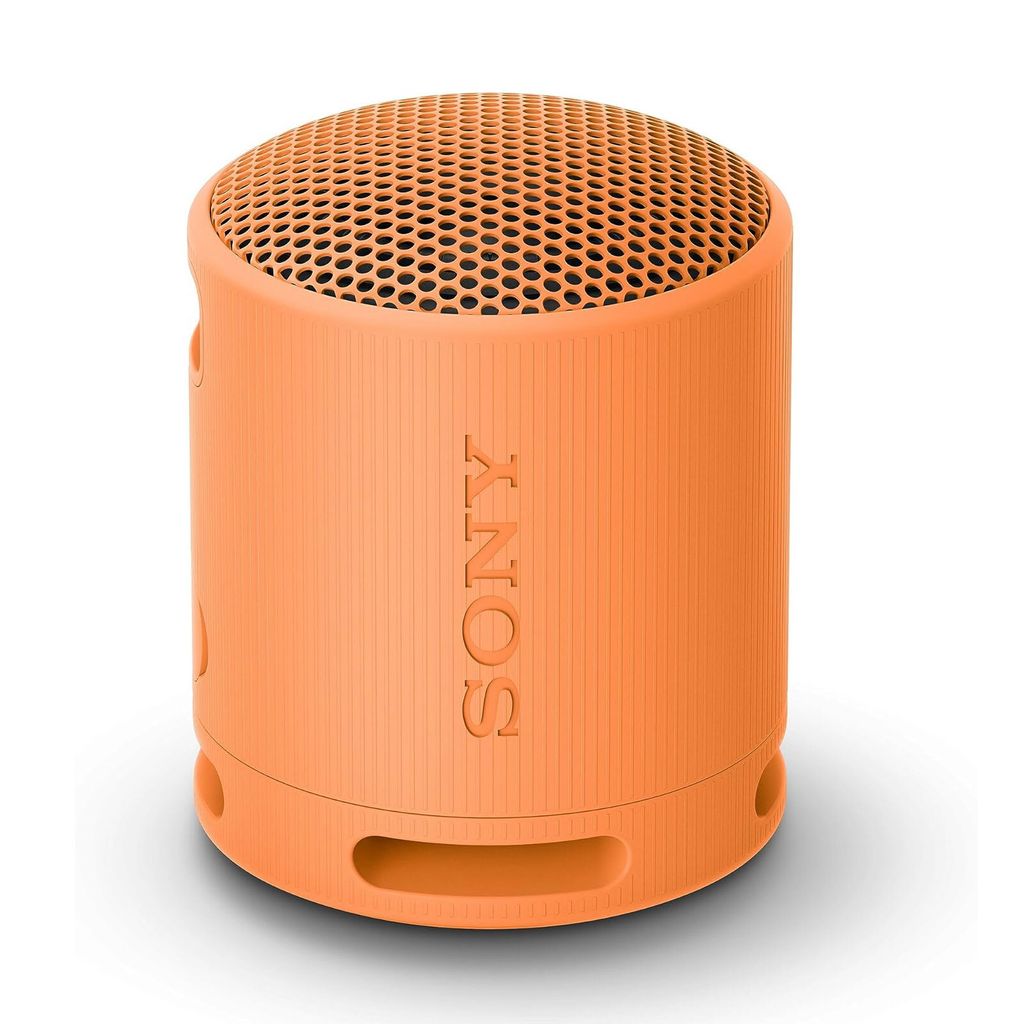 Sony SRSXB100D Immagine del prodotto 