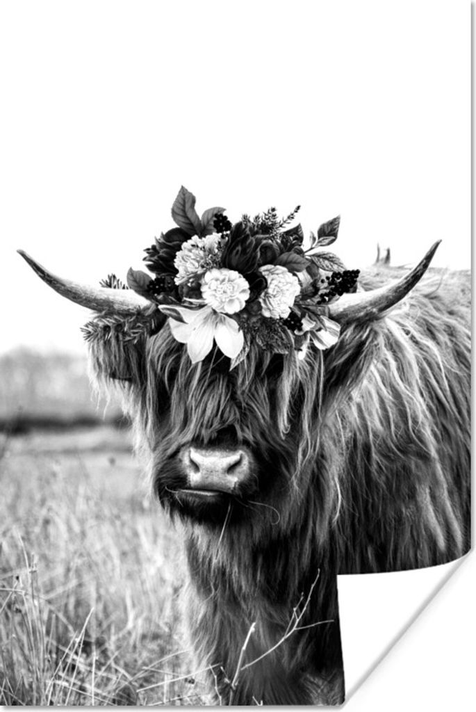 MuchoWow Poster Schottischer Highlander auf einer Wiese - schwarz und weiß 120x180 cm - Kunstposter