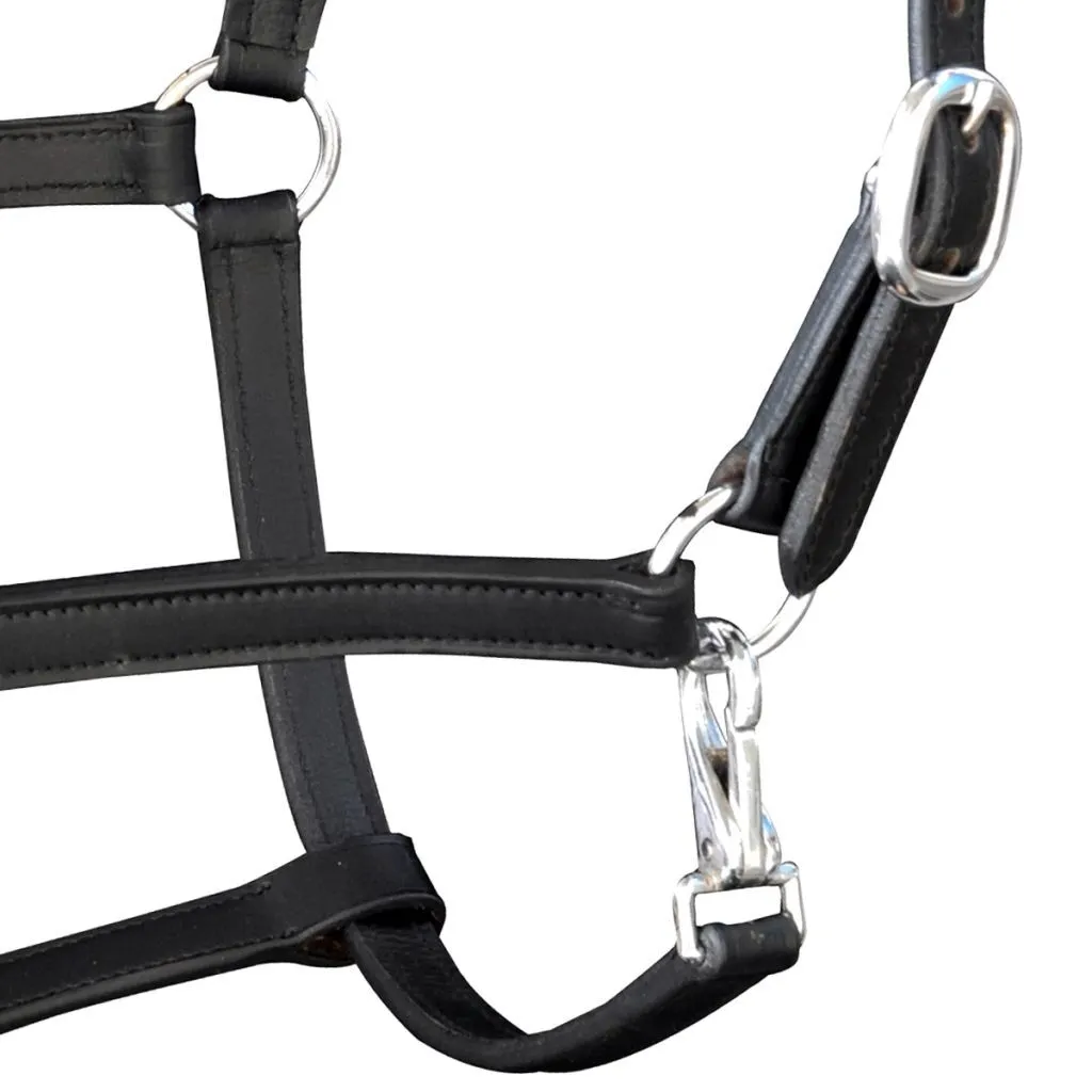 Licol cuir véritable noir ajustable avec boucles en métal Full - 2