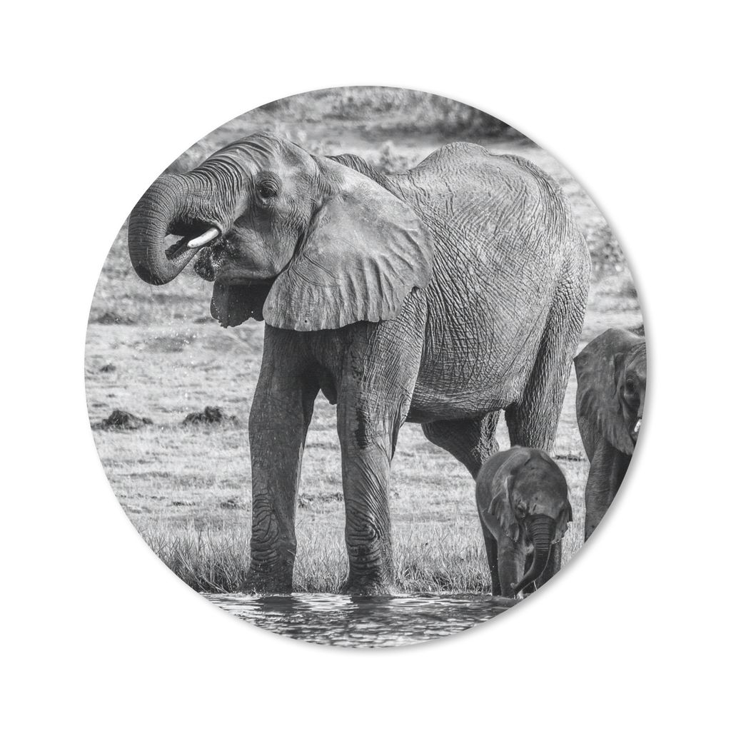 MuchoWow Mauspad Mousepad Elefant - Wasser - Tiere - Schwarz - Weiß 30x30 cm - Mousepads - Maus Mat - Pad - Mausunterlage - Tischunterlage - Sch...