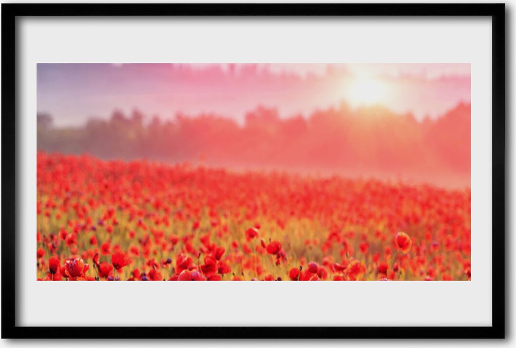 Bild 60x40 MDF-Rahmen Wandkunst Wiese Blumen Natur Pflanze