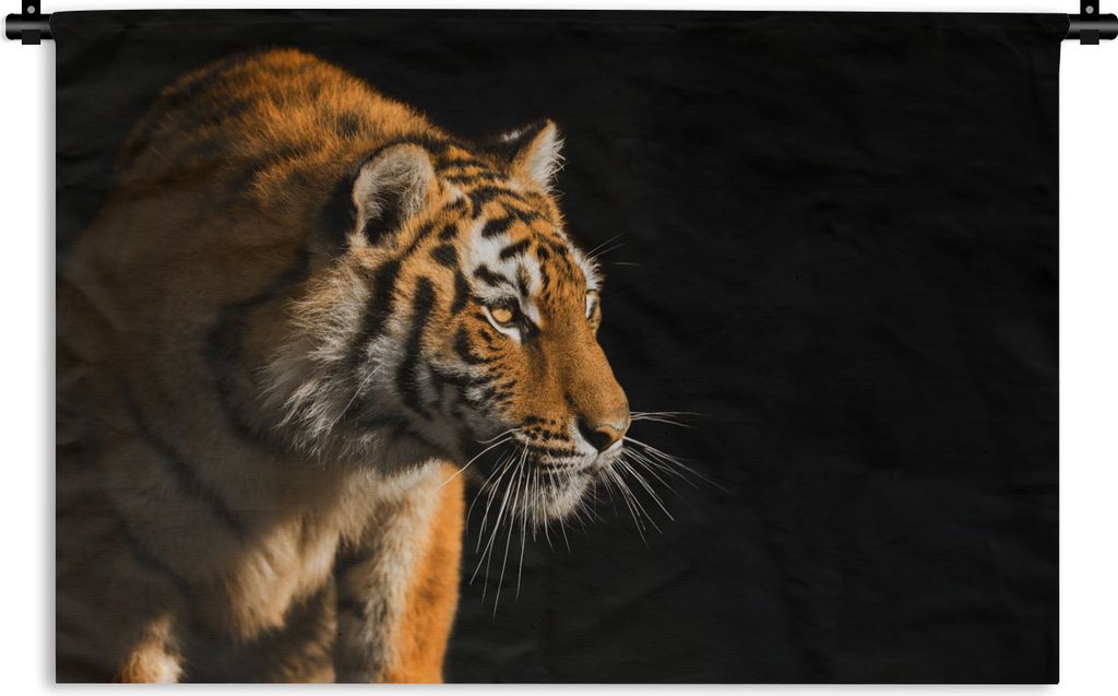 MuchoWow Wandteppich Wandbehang Tiger - Jagd - Sonne 150x100 cm Tapisserie Dekoration Wandtuch - Waschbar - Tapisserien - Wand-Decke
