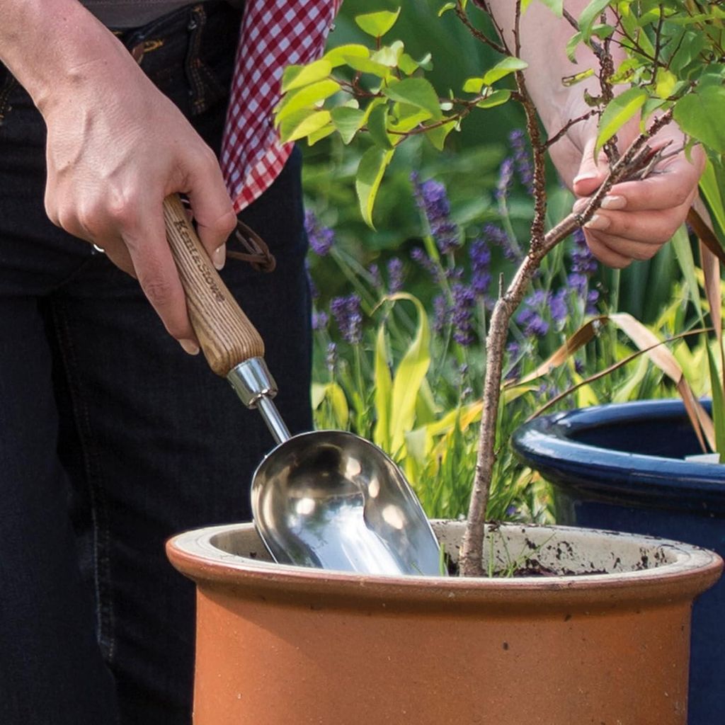 Bloementroffel – Pflanzenschaufel aus rostfreiem Stahl – 1 Stück – Eschenholzgriff – 33 cm