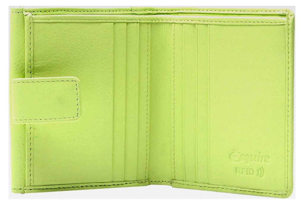 Leder Geldbörse Viktoria Little Wallet Lime hellgrün