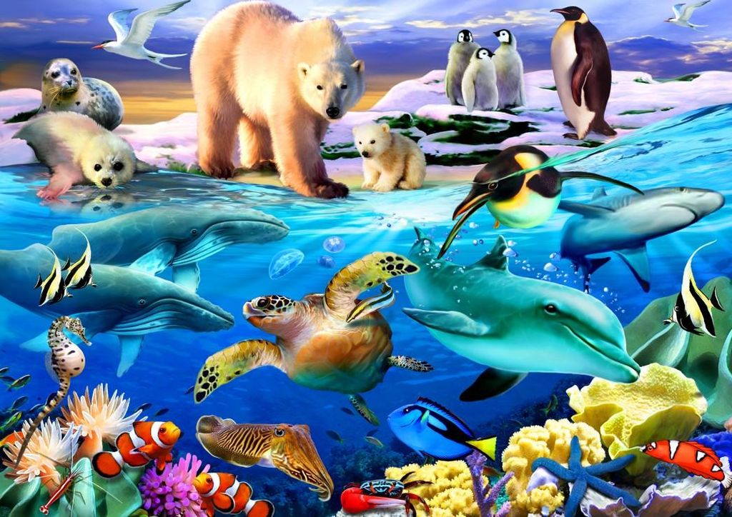 Bluebird Puzzle Legespiel Oceans of Life - 204 Teile Kinderpuzzle