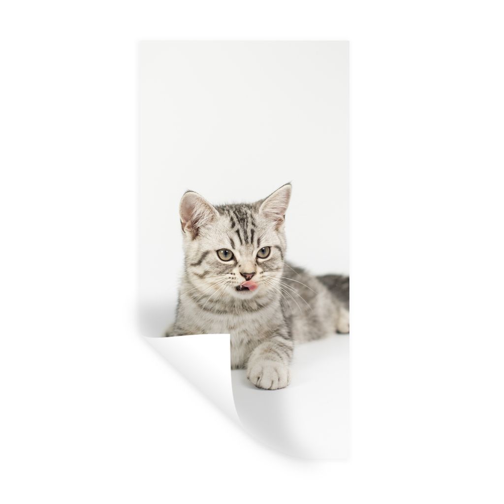 MuchoWow Wandtattoo Wandsticker Wandaufkleber Kitten - Weiß - Sohle - Mädchen - Kinder - Jungen - Kind 80x160 cm Selbstklebend und Repositionie...