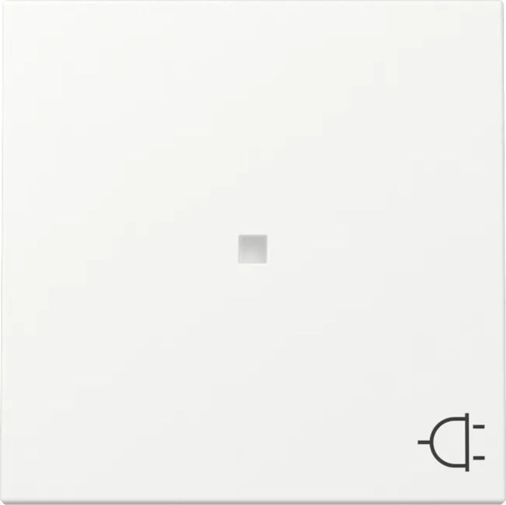 Gira Wippe Kontrollf. + Symb. 329127