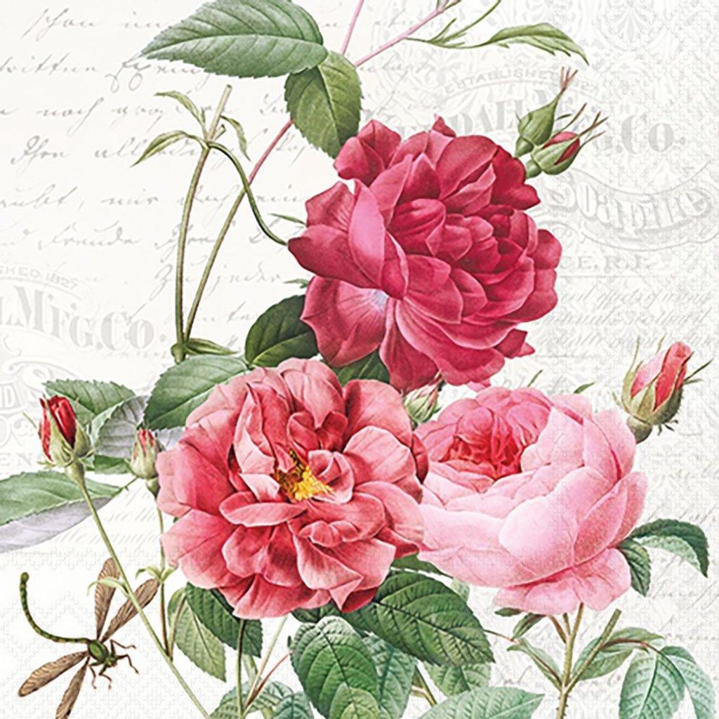 Ambiente Servet 25 BernsteinMix