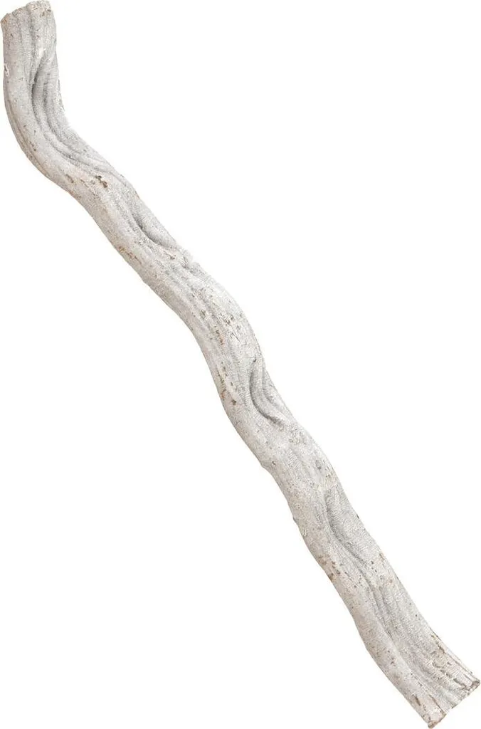 Liane séchée Cipo Rosca 70x8cm - Solution déco naturelle sans entretien