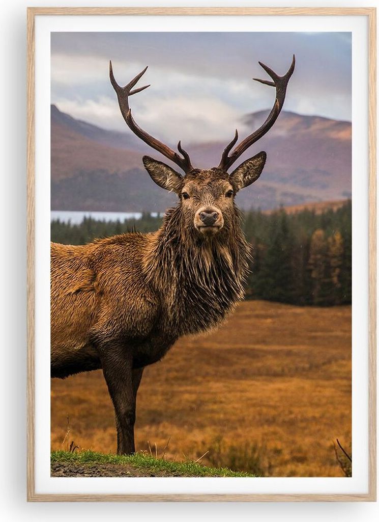 Gerahmtes Poster - Rahmen in heller Eiche - Rehe Wiese Berge - 70x100 cm - Wand Bild - Wanddeko - Wandbilder - Wandposter - Bilderrahmen - Bilder -...