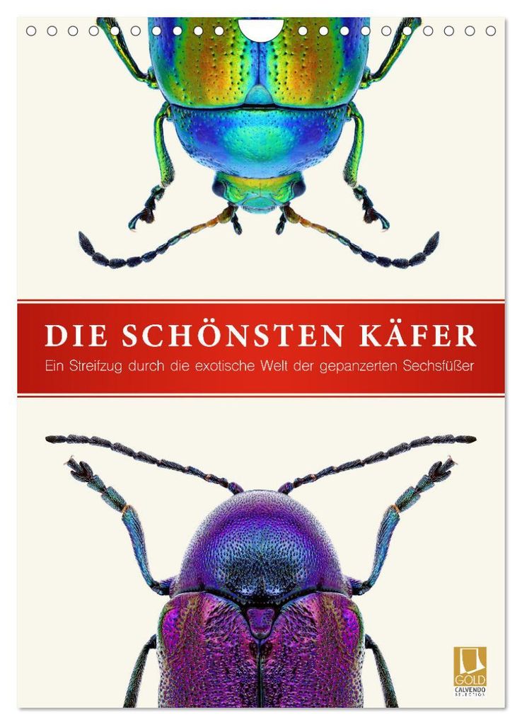Die schönsten Käfer (Wandkalender 2027 DIN A4 hoch), CALVENDO Monatskalender