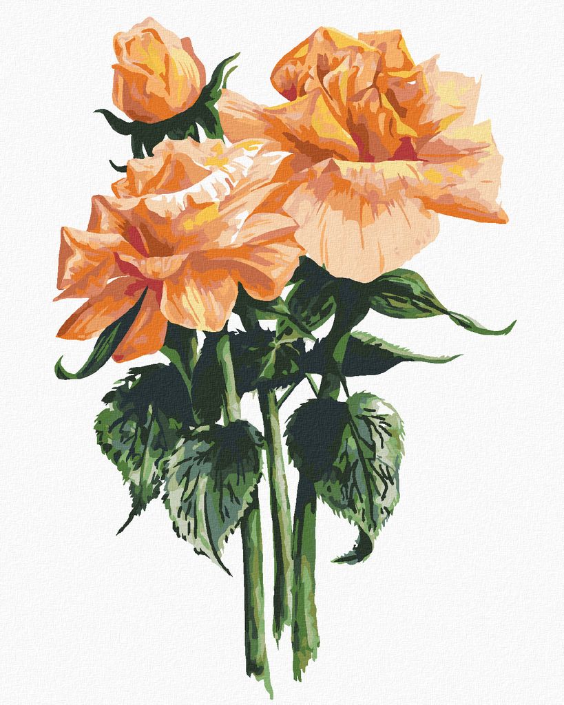 Zuty - Malen nach Zahlen - ORANGE ROSE (ALEXANDRIA GILBERT), 40x50 cm, mit Keilrahmen (bereits gespannt)