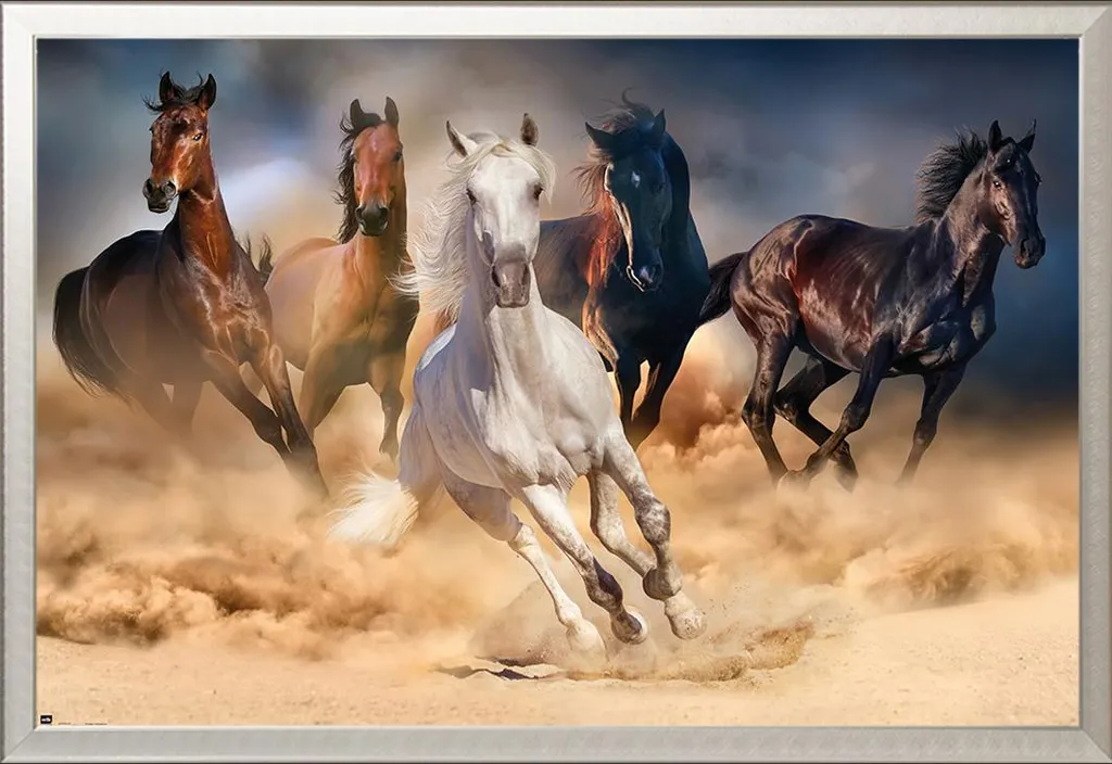 Tableau Mural Chevaux Troupeau et Cadre Photo Shinsuke Aluminium Argenté