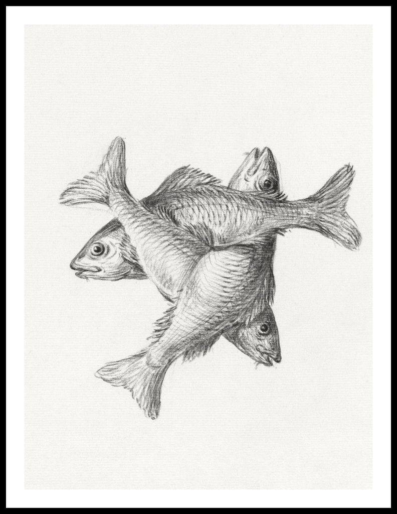 Poster 60x80cm Drei Fische, Jean Bernard Vintage für das Wohnzimmer