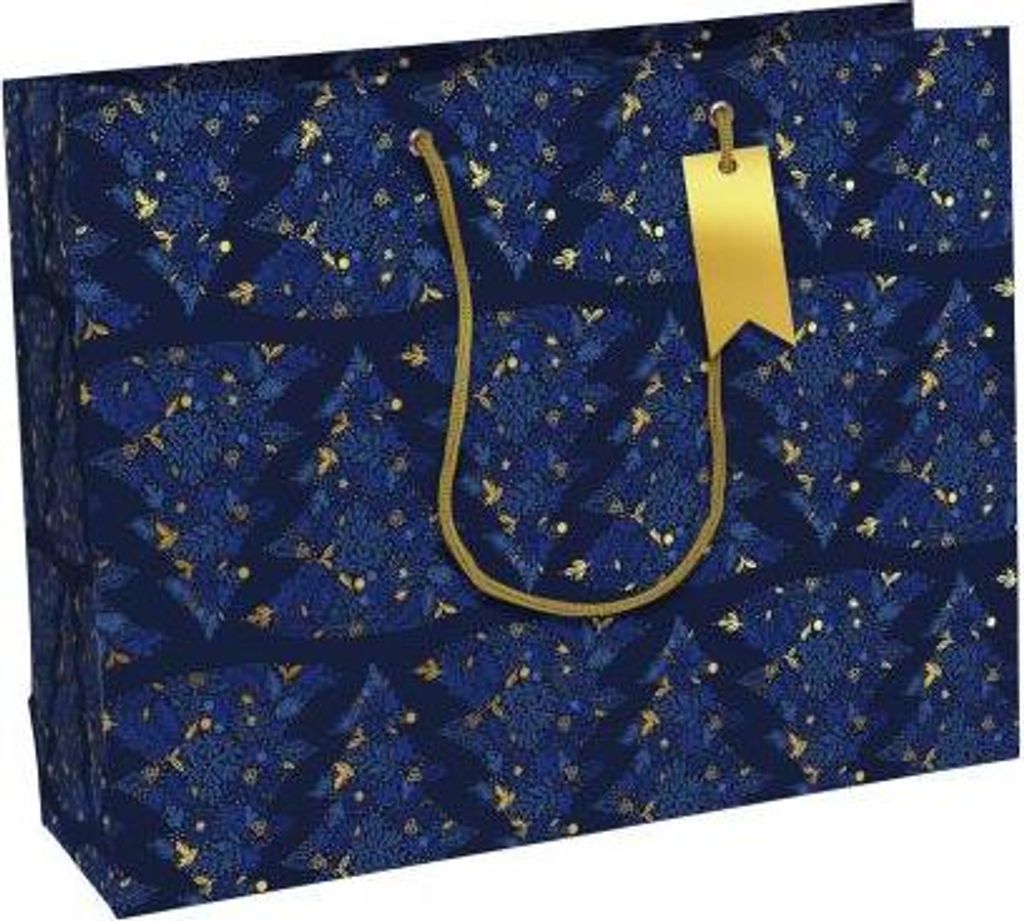 Clairefontaine 6x Geschenktasche Shopper 37,3x11,8x27,5cm Blau 202118-6C