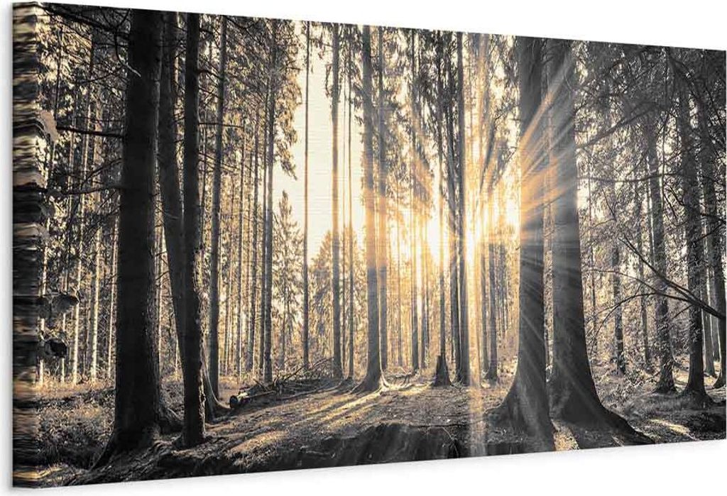 Italienischer Leinwand Leinwandbild - Forest Sun 135x45 cm Landschaften c-B-0077-b-c