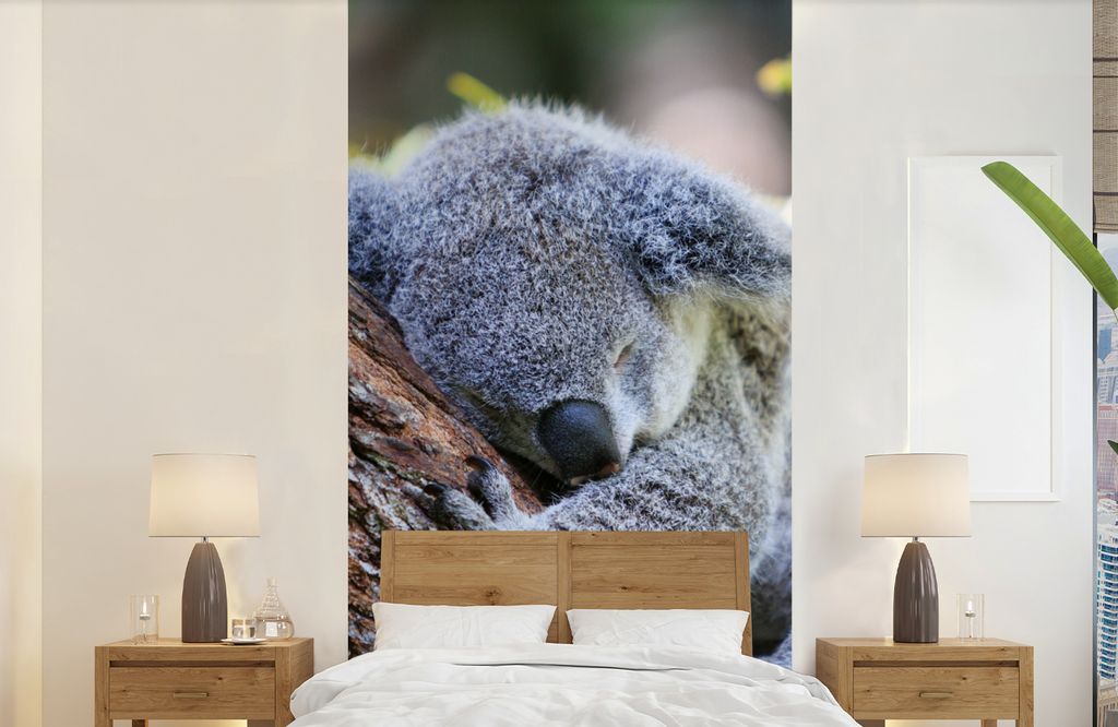 MuchoWow Fototapete für Wohnzimmer oder Schlafzimmer Wandtapete Vinyl Motivtapete Koala - Kofferraum - Kuscheltier - Jungen - Mädchen - 120x240...