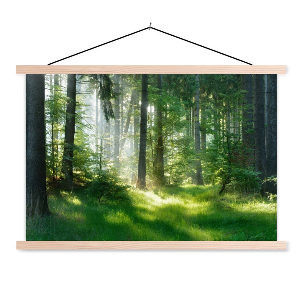 MuchoWow Textilposter Natur - Bäume - Wald - Grün - Sonne - Gras - Pflanzen 60x40 cm mit holzfarbenen Rahmen - Bilder