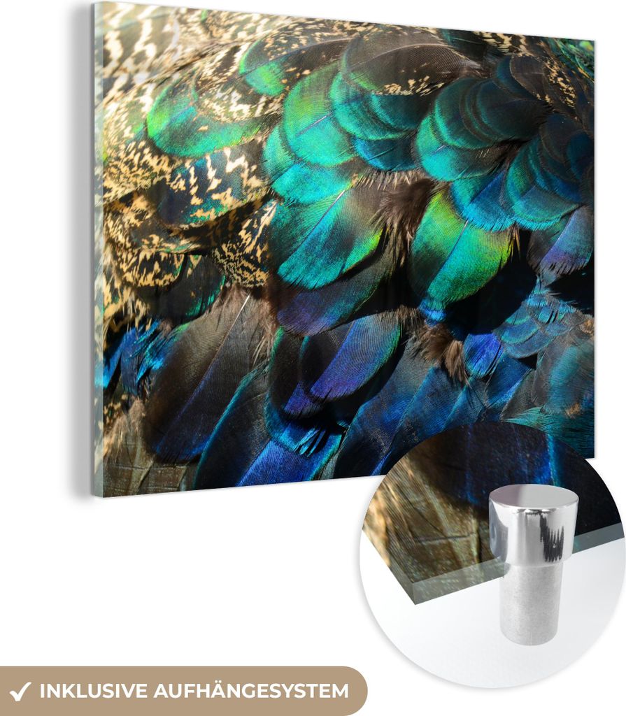 MuchoWow Glasbilder - Bilder auf Wandbild - Foto auf Glas Federn - Pfauenfedern - Pfau - Blau - Kunst 80x60 cm Wanddekoration aus Glas - Acrylglasb...