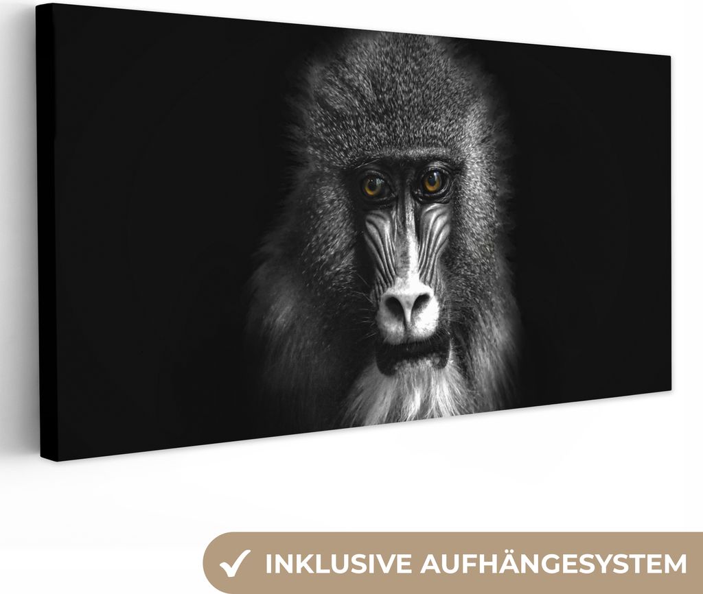 MuchoWow - Leinwandbilder - Affe - Tiere - Augen - Braun - Schwarz und weiß, Wandbild, Wanddeko Bilder Wohnzimmer, 80x40 cm